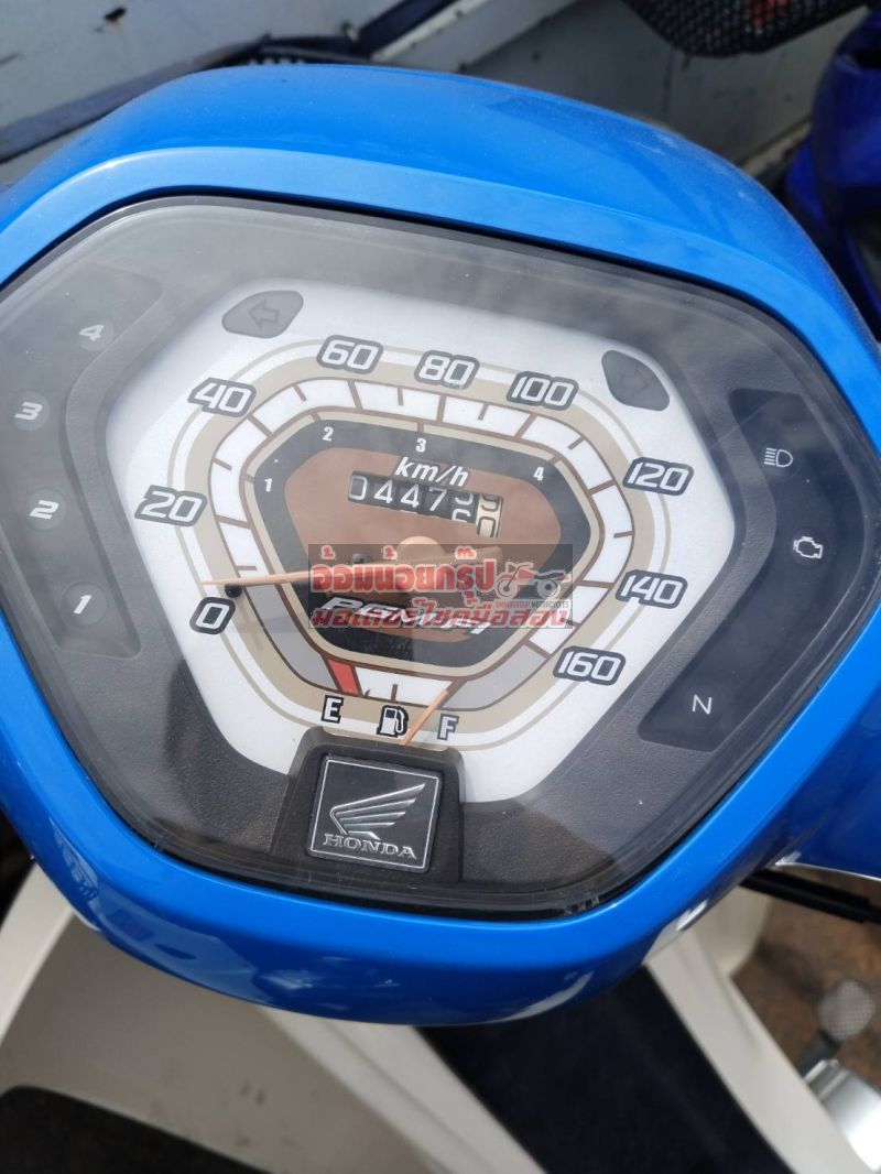 รูป HONHA DREAM